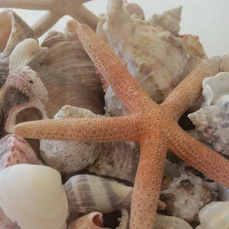 Azur Апартаменти *